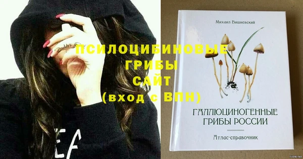 винт Няндома